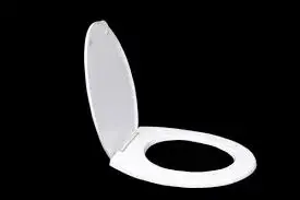 Plastic_Toilet_Seat_Cover4[1]-8399666-33440.webp